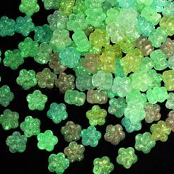 Светящиеся прозрачные акриловые бусины&nbsp;OACR-B031-14