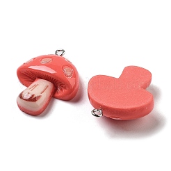 Подвески из смолы&nbsp;RESI-Z031-01F