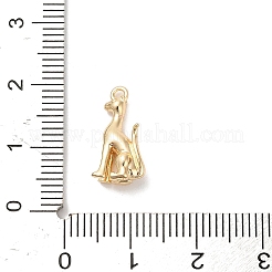 Латунные подвески&nbsp;LS-KK-D427-04A-G