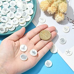 Природные подвески оболочки пресноводных&nbsp;SHEL-CJ0001-05