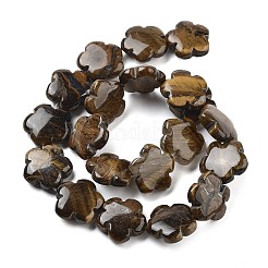 Природных тигровый глаз бисер нитей&nbsp;G-F769-H01-02