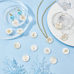 40шт 10 стильные подвески из натуральных пресноводных ракушек&nbsp;SHEL-PH0001-20