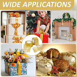 Полиэфирная лента&nbsp;OCOR-WH0070-278C