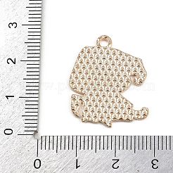 Подвески из сплава хэллоуина с эмалью&nbsp;FIND-I052-01KCG-01