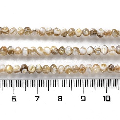 Нити бусин из натуральных пресноводных ракушек SSHEL-B002-18