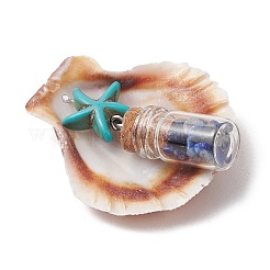 7 шт. 7 стиля подвески в виде морской звезды из натуральной ракушки гребешка и окрашенной синтетической бирюзы&nbsp;PALLOY-JF03564-01