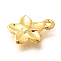 Подвески из нержавеющей стали 304&nbsp;STAS-P381-10G