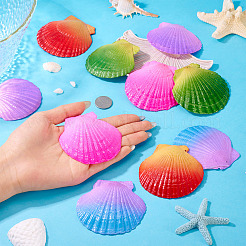 10 шт. большие подвески из натуральной ракушки гребешка&nbsp;SSHEL-TA0001-23