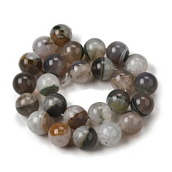 Природный агат бисер нитей&nbsp;G-F820-K06-16mm-01C