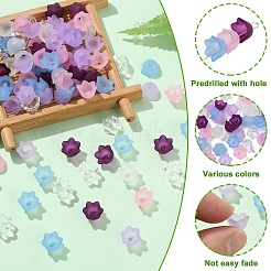 300шт 6 стиля прозрачные акриловые бусины&nbsp;TACR-YW0002-52