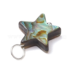 Подвески из натурального ушка / ракушки&nbsp;PALLOY-JF02701-01