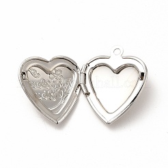 Подвески латуни медальон&nbsp;ZIRC-M120-01P