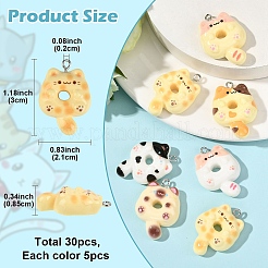 30 шт. 6 цвета непрозрачные подвески из смолы&nbsp;RESI-YW0004-93