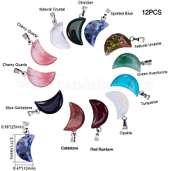 Луна смешанный камень подвески ожерелье макание&nbsp;DIY-SC0002-28