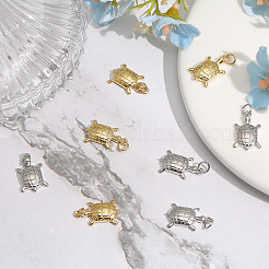 8 шт.&nbsp;ZIRC-CA0001-22