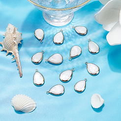 Природные подвески оболочки пресноводных&nbsp;SHEL-BC0001-001