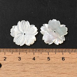 Натуральные белые бусины из ракушек&nbsp;SHEL-M021-08A