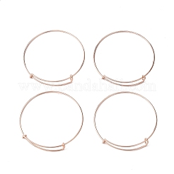 Регулируемое железо&nbsp;LS-BJEW-R038-RG