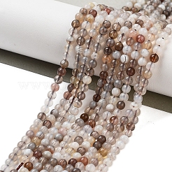 Природные Ботсвана агат бисер нитей&nbsp;G-G143-A02-01