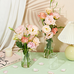 3 шт. 3 стиля стеклянная цветочная композиция сосуд для воды&nbsp;AJEW-BC0007-90