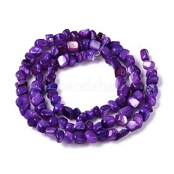 Нити бусин из натуральных пресноводных ракушек&nbsp;SHEL-N037-04H