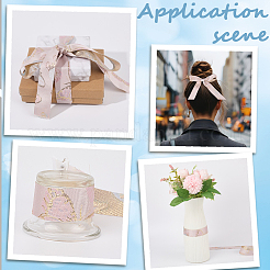 Полиэфирные ленты&nbsp;SRIB-WH20020-061A-02B