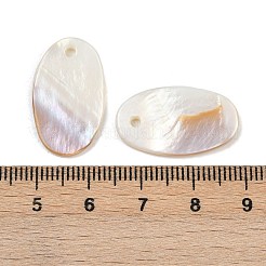 Овальная пресноводных оболочки подвески&nbsp;SHEL-M005-33