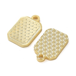 925 серебряный шарм&nbsp;X-STER-C003-02G