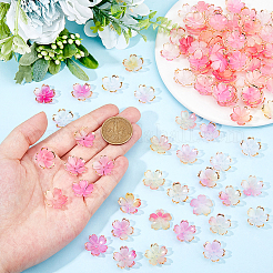 150 шт. акриловые колпачки для бусин&nbsp;OACR-DC0001-31A