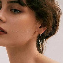 1 пара латунных сережек-подвесок&nbsp;EJEW-HS0001-29G