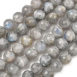 Природные лабрадорита бисер нитей&nbsp;G-L642-F07-8mm