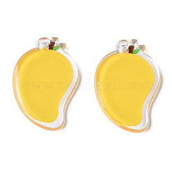 Полупрозрачные акриловые подвески&nbsp;TACR-N013-013