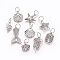 Tibetan Style Alloy Pendants, Mixed Shapes, Antique Silver, 15~31x12~21x1~5mm, Hole: 7mm