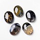 Естественный дракон вен кабошоны&nbsp;X-G-F296-05-18x25mm-1