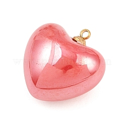 Подвески из нержавеющей стали 304 из смолы&nbsp;STAS-K322-10A-01