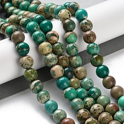 Нити бусин из окрашенного натурального регалита/императорской яшмы/морского осадка яшмы&nbsp;LS-G-B124-C01-10