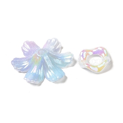 Радужное переливчатое покрытие акриловыми бусинами&nbsp;OACR-U006-01F