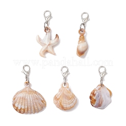 5 шт. 5 стиля акриловая ракушка морская звезда подвеска украшение&nbsp;HJEW-JM03875