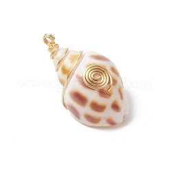 Естественно спиральные подвески оболочки&nbsp;PALLOY-JF03316-02