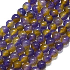 Натуральный Malaysia нефритовые бусы пряди&nbsp;G-B165-C04-10mm