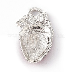 Подвески из эмали и сплава&nbsp;X-FIND-A021-04S