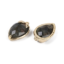 Ограненные подвески из натурального лабрадорита&nbsp;G-M431-06G-12