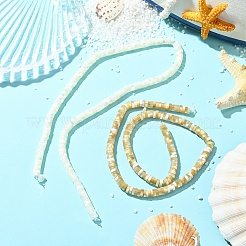 1 нить натуральных бусин из ракушек трохид/трохус&nbsp;SSHEL-YW0001-12A