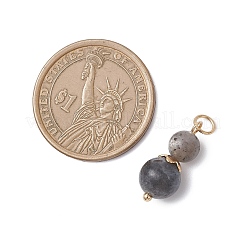 3 шт. 3 стильных подвески из натуральной лавы&nbsp;PALLOY-JF04701-07