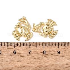 Латунные подвески&nbsp;KK-C143-46G-G02