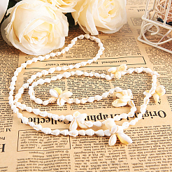 1 коробка спиральные морские раковины окрашенные бусины и прелести с отверстиями для ювелирных изделий&nbsp;BSHE-PH0001-01