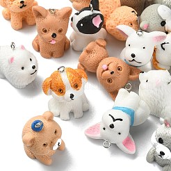 18шт 9 стиля непрозрачные подвески из смолы&nbsp;RESI-CJ0003-42