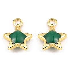 Латунь эмаль подвески&nbsp;KK-K337-06G