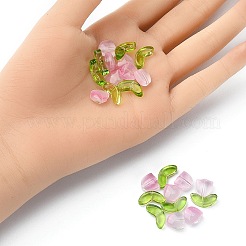 30шт 2 стильные прозрачные стеклянные бусины&nbsp;GLAA-YW0001-85