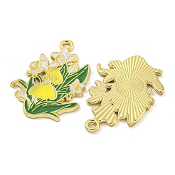 Подвески из эмали и сплава&nbsp;FIND-Z049-01G-A